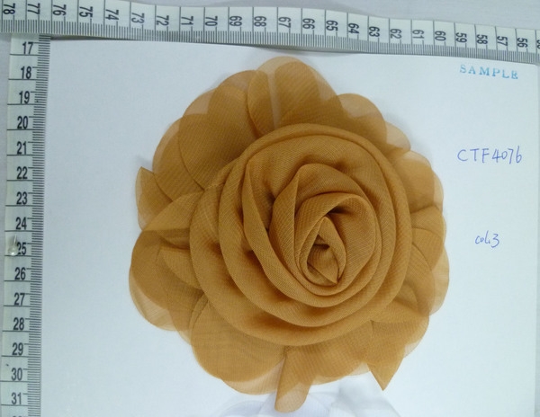 CTF4076