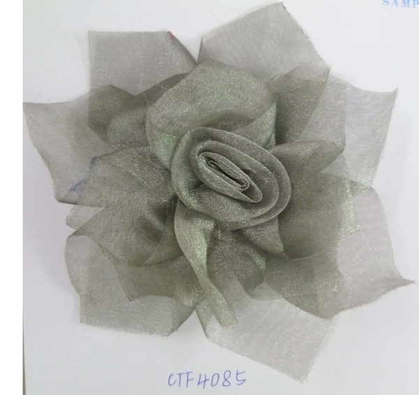 CTF4085