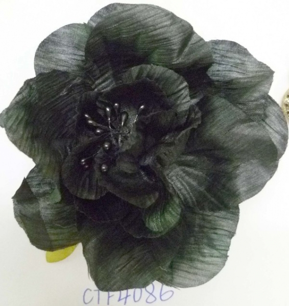 CTF4086