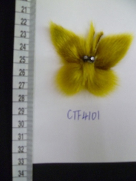 CTF4101