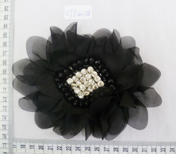 CTF4138