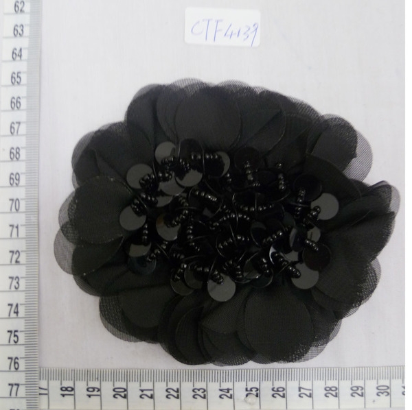 CTF4139