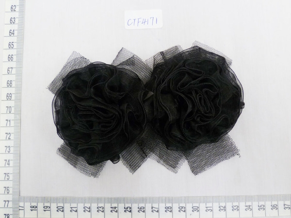 CTF4171