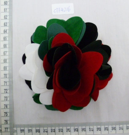 CTF4216