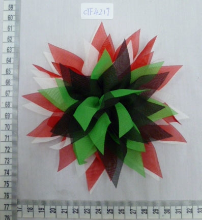 CTF4217