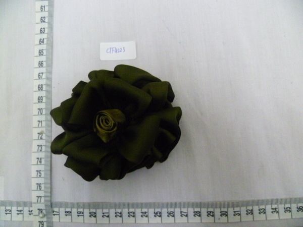 CTF4223