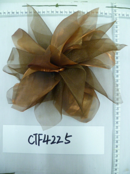 CTF4225