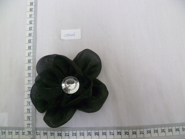CTF4226