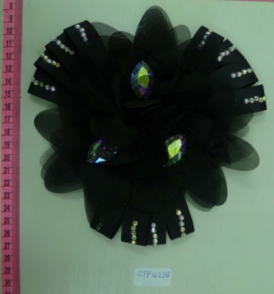 CTF4238