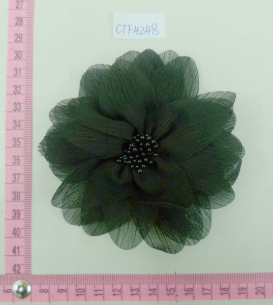CTF4248