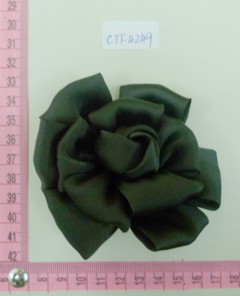 CTF4249