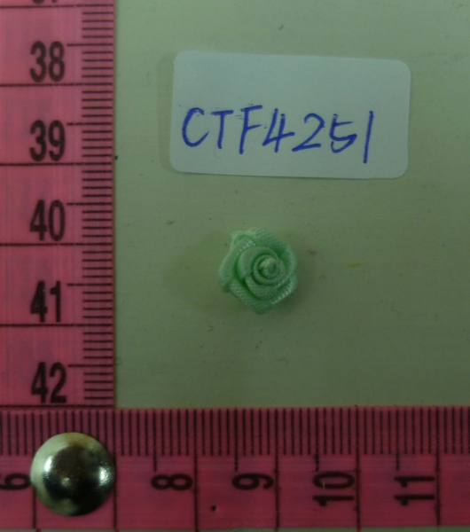 CTF4251