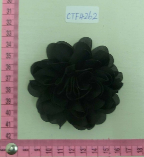CTF4262