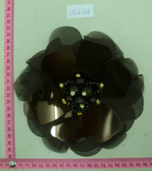 CTF4268