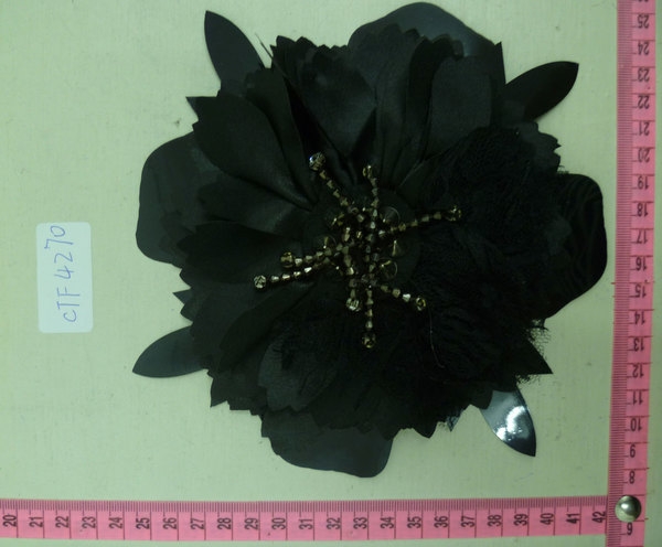 CTF4270