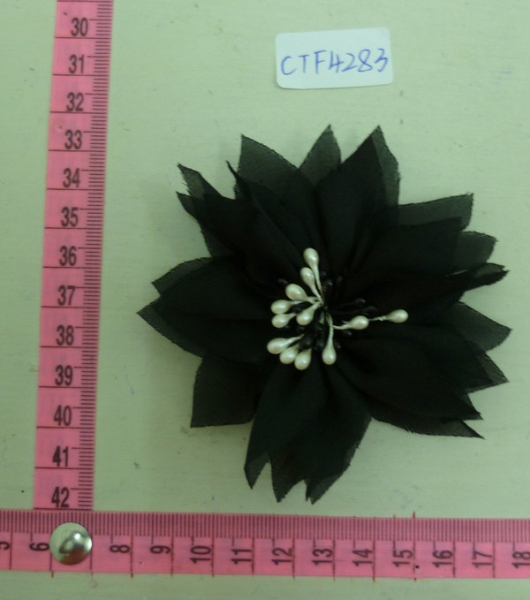 CTF4283