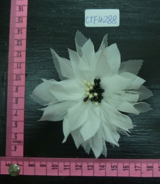 CTF4288