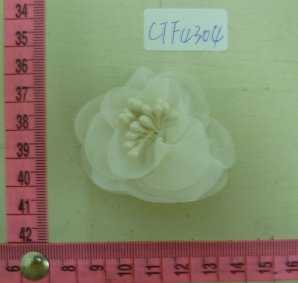 CTF4304