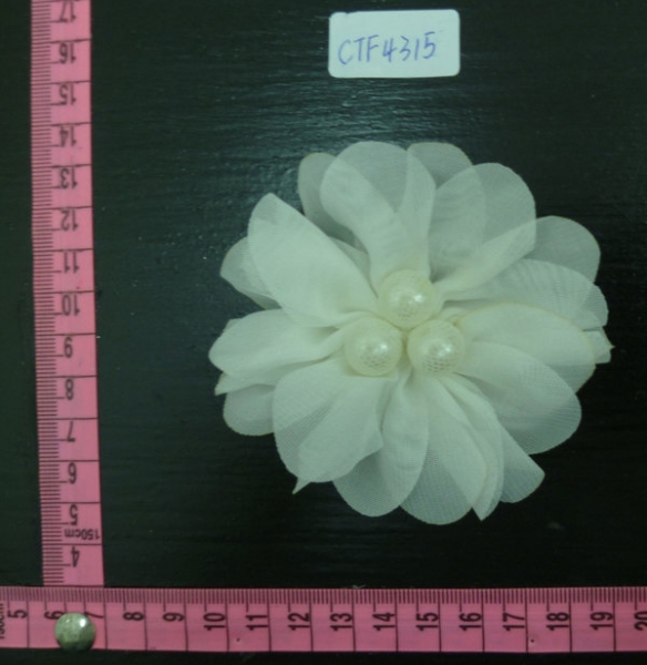 CTF4315