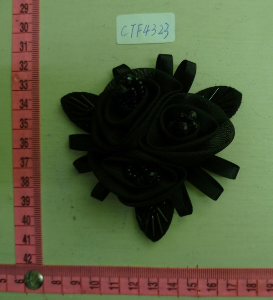 CTF4323