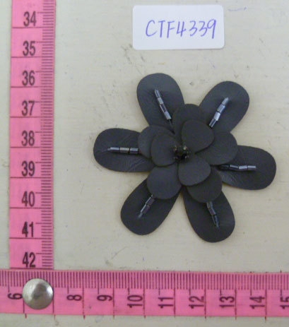 CTF4339