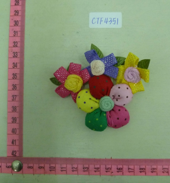 CTF4351