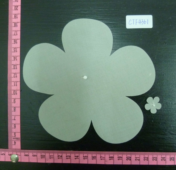 CTF4361