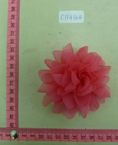 CTF4364