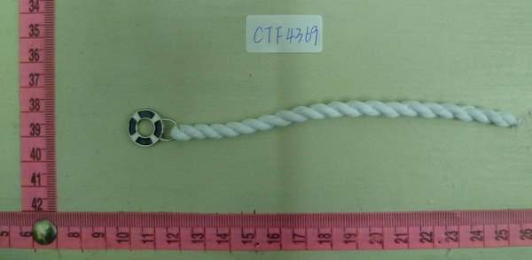 CTF4369