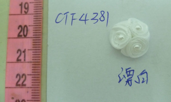 CTF4381