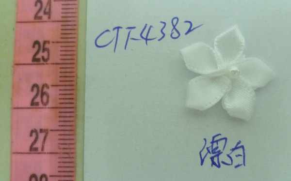CTF4382
