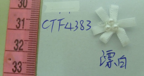 CTF4383