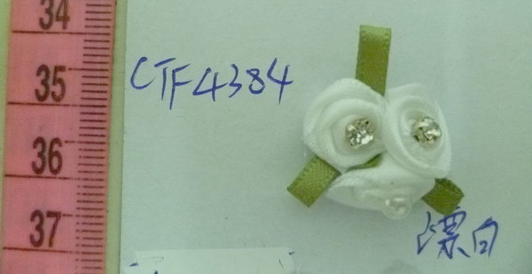 CTF4384