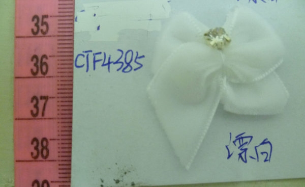CTF4385