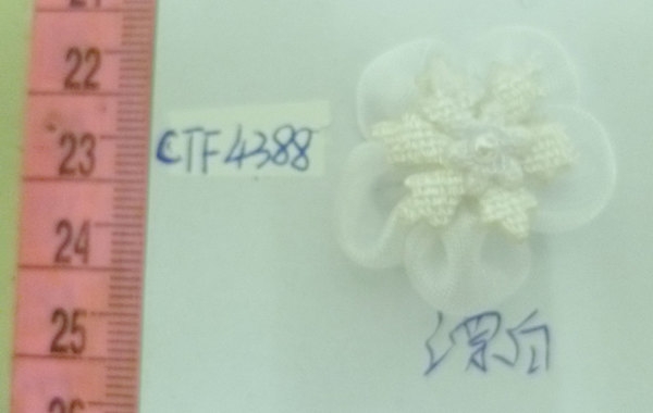 CTF4388