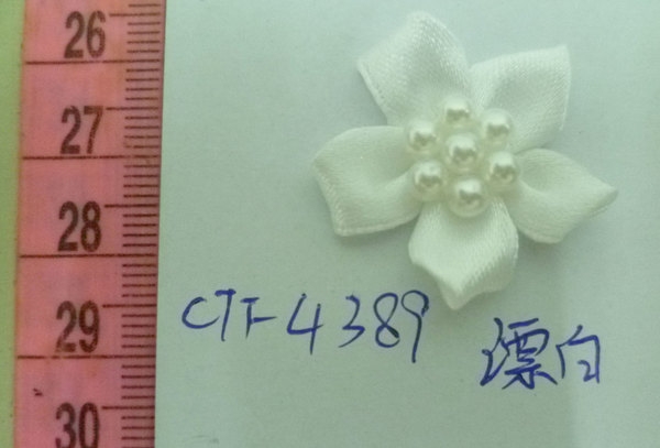 CTF4389