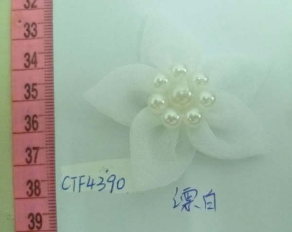 CTF4390