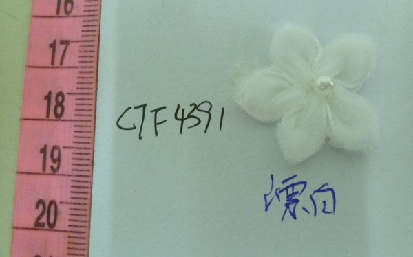 CTF4391