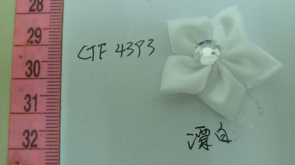 CTF4393