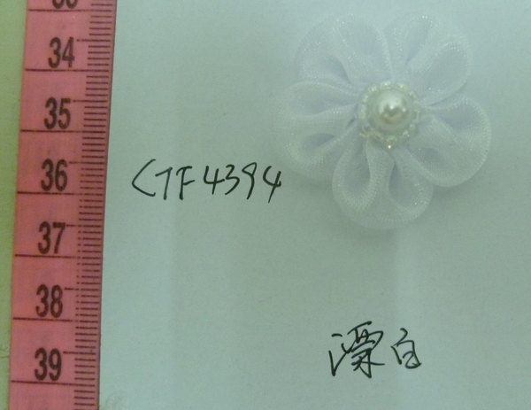 CTF4394