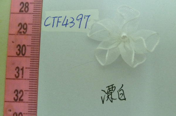 CTF4397