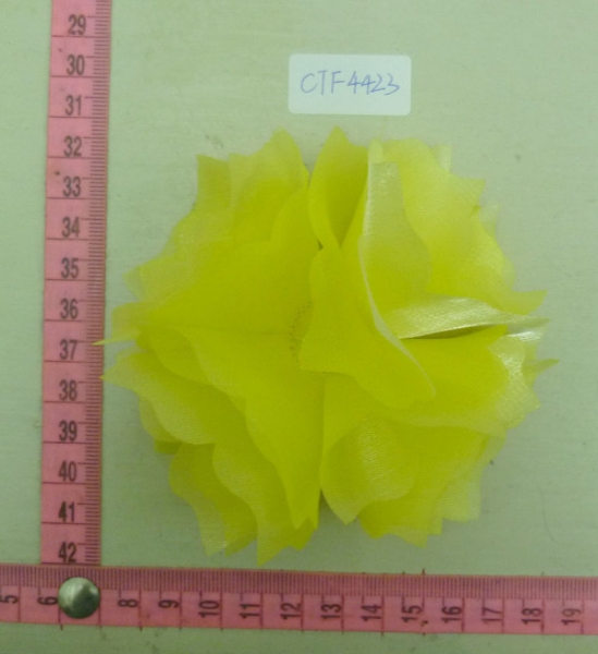 CTF4423