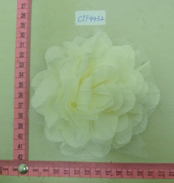 CTF4432