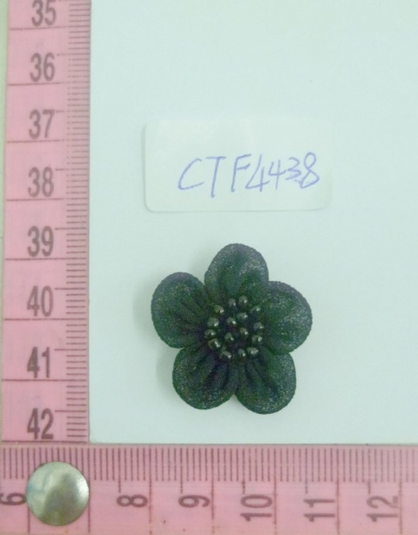 CTF4438