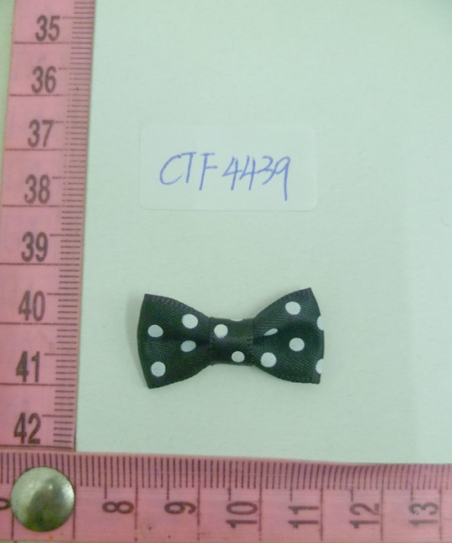 CTF4439
