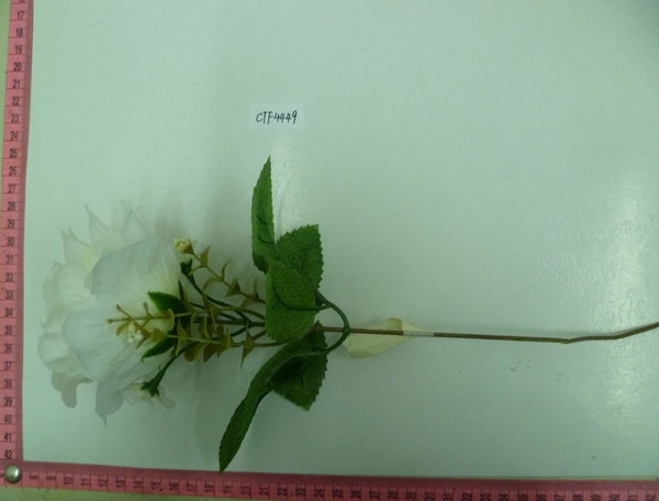 CTF4449