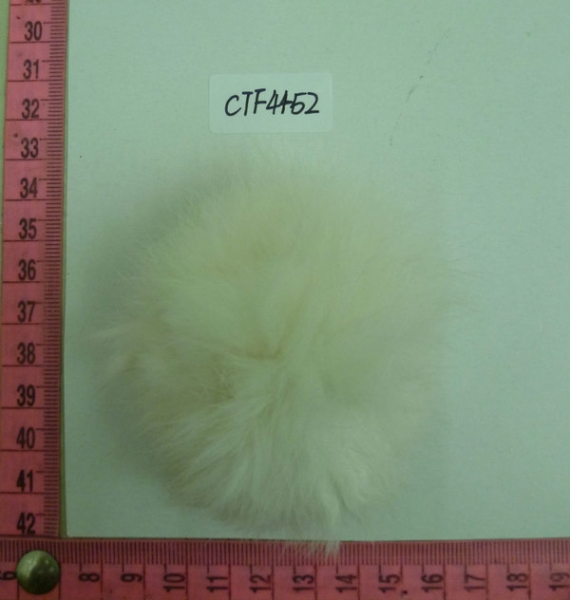CTF4452