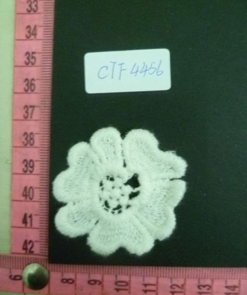 CTF4456