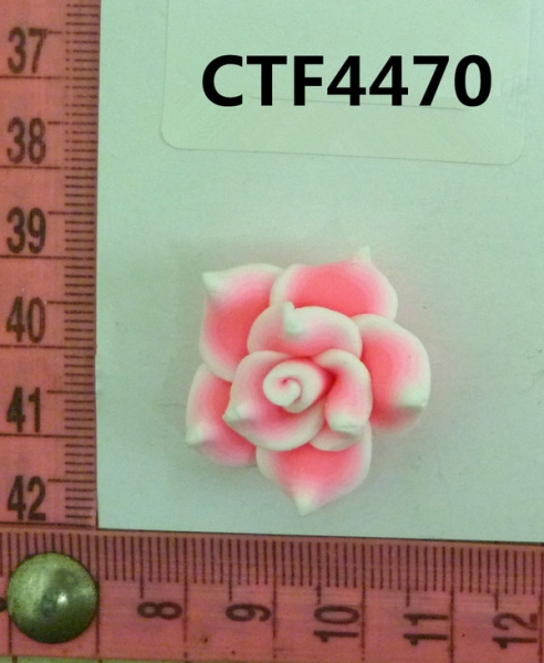 CTF4470