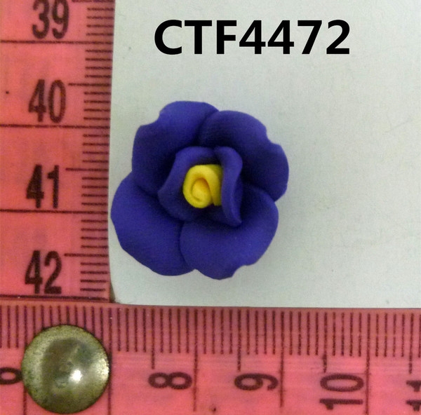 CTF4472